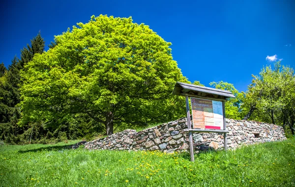 Ruins of house at Kaliste, Slovakia — Stock Photo, Image