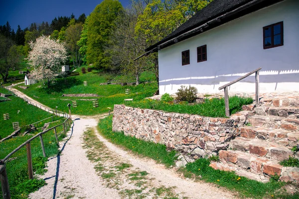 Falu kaliste, Szlovákia — Stock Fotó