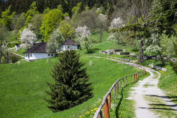 Falu kaliste, Szlovákia — Stock Fotó