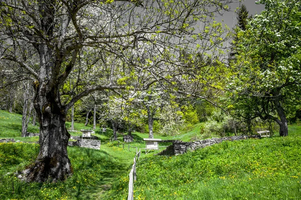 Village Kaliste, Slovakia Royalty Free Stock Photos