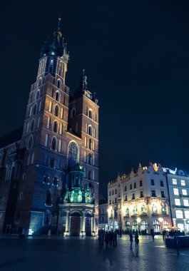 Ana kare, Krakow, Polonya