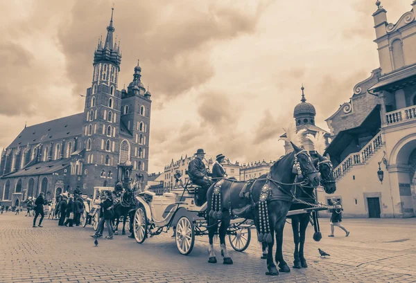 Horse carriage at Krakow, Slovakia — Stock Photo, Image