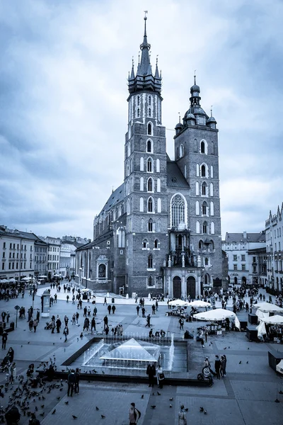 Ana kare, Krakow, Polonya — Stok fotoğraf