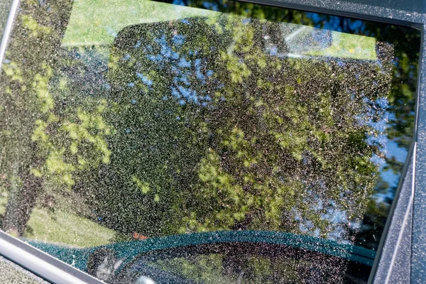 Pollen on car — Stock Photo, Image