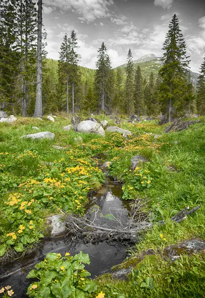 High Tatras, Slovakia — Stock Photo, Image