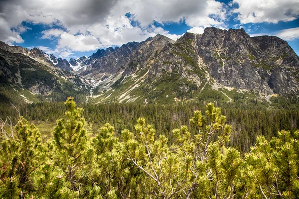 Yüksek tatras, Slovakya — Stok fotoğraf