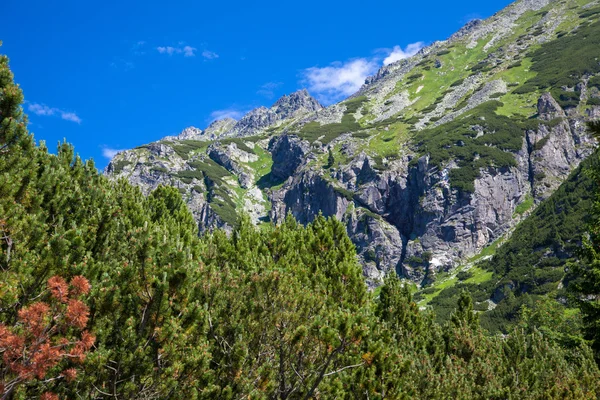 Vysoké Tatry, Slovensko — Stock fotografie