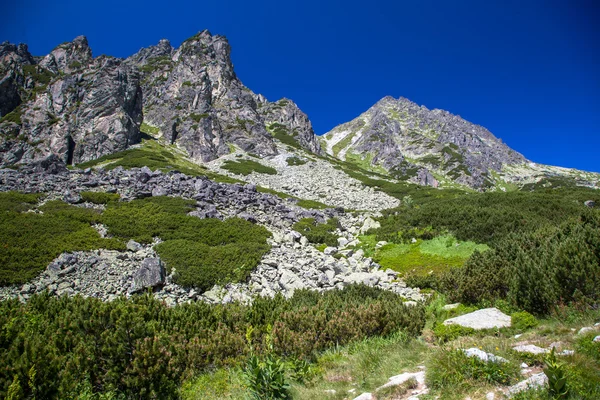 Vysoké Tatry, Slovakien — Stockfoto