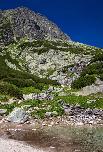 Tarn en High Tatras, Eslovaquia — Foto de Stock
