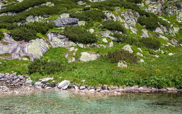 Tarn op hoge Tatra, Slowakije — Stockfoto