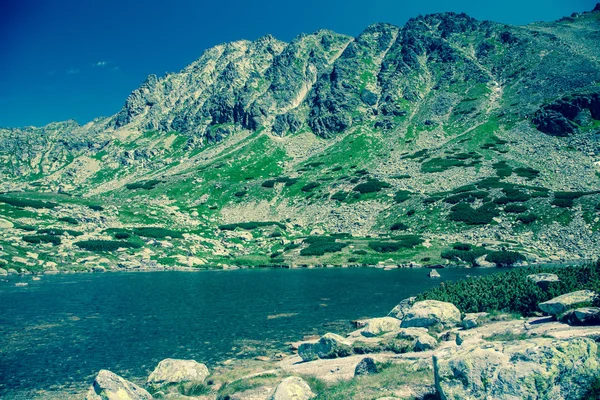 Tarn at High Tatras, Slovakia — Stock Photo, Image