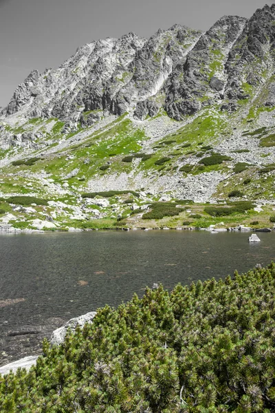 Tarn em High Tatras, Eslováquia — Fotografia de Stock