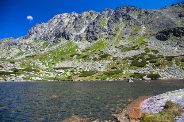 Tarn en High Tatras, Eslovaquia — Foto de Stock