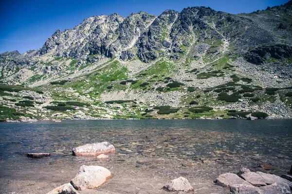 Tarn in der Hohen Tatra, Slowakei — Stockfoto