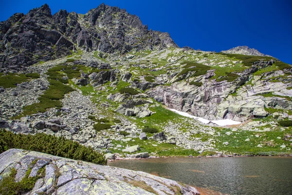 Tarn in der Hohen Tatra, Slowakei — Stockfoto