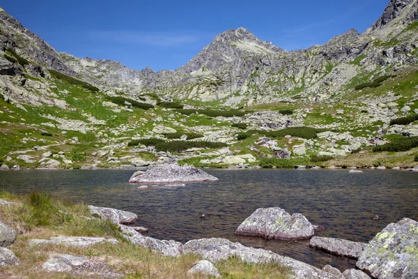 Tarn en High Tatras, Eslovaquia — Foto de Stock