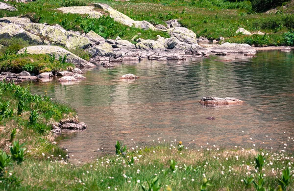 Tarn at High Tatras, Slovakia — Stock Photo, Image