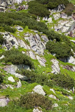 Hill adlı yüksek Tatras, Slovakya