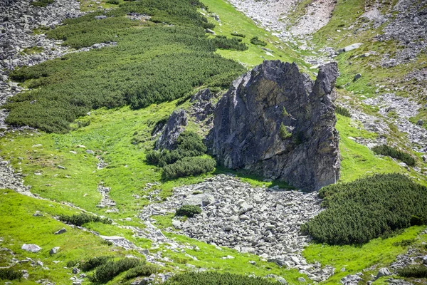 Hill w Wysokich Tatrach na Słowacji — Zdjęcie stockowe