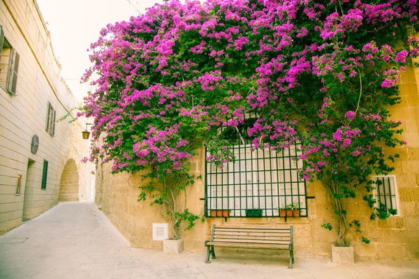 Ville historique Mdina, Malte — Photo