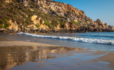 Malta'da altın defne