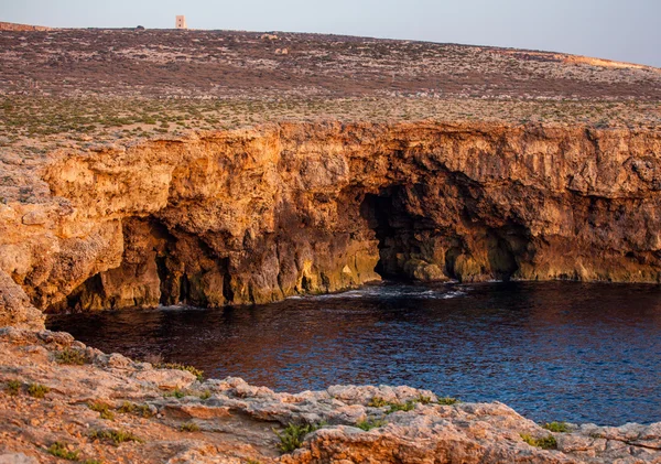 Reven på Malta island — Stockfoto