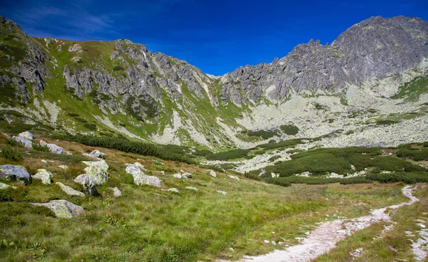 Dolina w Wysokie Tatry, Słowacja — Zdjęcie stockowe