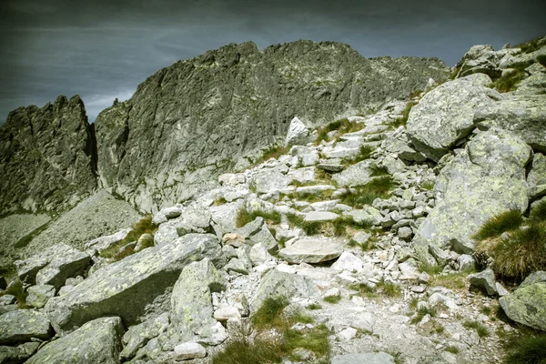 Valle en High Tatras, Eslovaquia — Foto de Stock