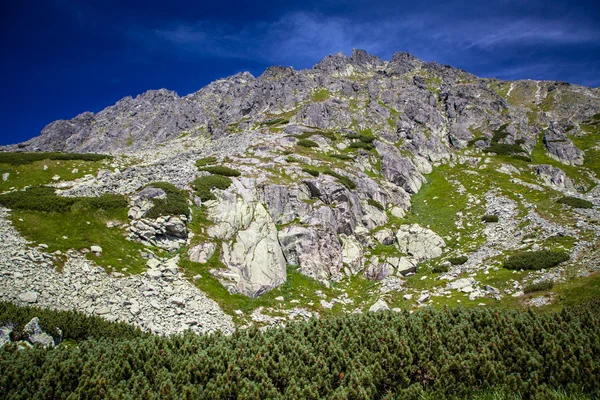 在斯洛伐克高塔特拉山-Predne Solisko- — 图库照片