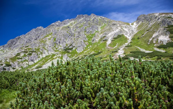 Hill - Predne Solisko - i höga Tatra, Slovakien — Stockfoto