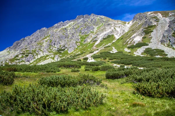 Hill - Predné Solisko - Vysoké Tatry, Slovensko — Stock fotografie