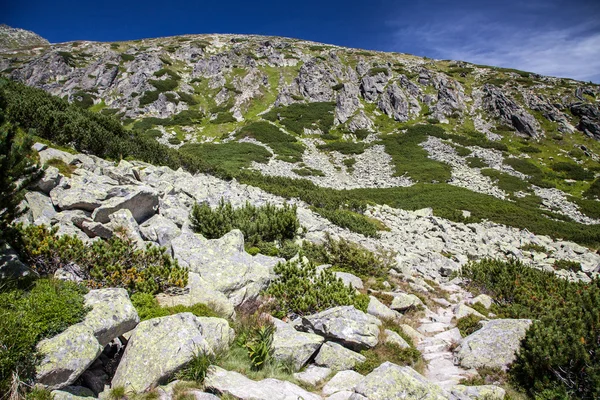 Dolina - Furkotska Dolina - w Wysokie Tatry, Słowacja — Zdjęcie stockowe