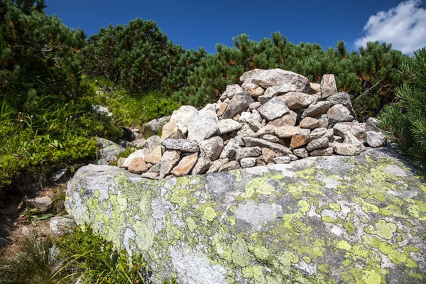 Pedras em Low Tatras, Eslováquia — Fotografia de Stock