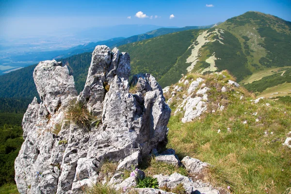 Hill - Veľký Krivan - v oblasti Malá Fatra, Slovensko — Stock fotografie