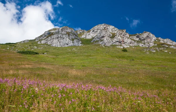 Bergskedjan Mala Fatra i Slovakien — Stockfoto