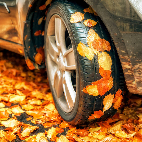 Close-up of a car tire covered with yellow and orange autumn leaves, parked on a road blanketed with colorful foliage, symbol of fall season and rainy weather driving conditions.