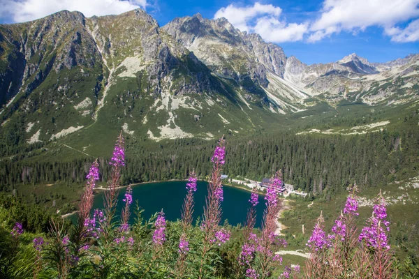 Tarn pozostawienie Popradské pleso w Tatrach Wysokich — Zdjęcie stockowe