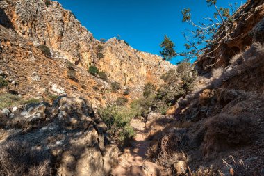 Girit adasındaki Zakros Vadisi 'nde Rocky yürüyüş yolu sarp kayalıklar, kuru bitki örtüsü ve açık mavi bir Akdeniz gökyüzü ile çevrili..