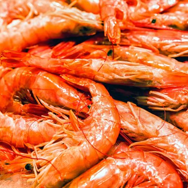Canlı renkleri ve detaylı dokusu olan deniz ürünleri pazarına istiflenmiş taze kırmızı karides. Mutfak, gastronomi ve gıda endüstrisi için ideal..