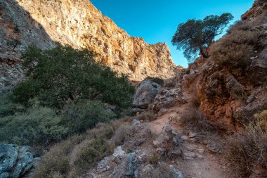 Yunanistan 'ın doğusundaki Girit Boğazı olarak da bilinen Zakros Boğazı' ndaki dar kayalık yol. Dik kanyon duvarları, engebeli arazi ve yürüyüş yolu boyunca uzanan kuru Akdeniz bitkileri..