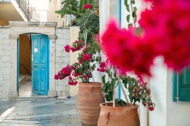 Girit 'teki Panormos köyündeki sakin avlu manzarasında mavi ahşap kapı, taş duvarlar ve kil kaplarda çiçek açan bougainvillea otantik Yunan köy yaşamını yansıtıyor..