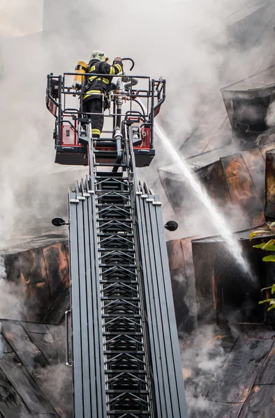 Bombero en escalera —  Fotos de Stock