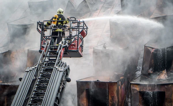 Bombero en escalera —  Fotos de Stock