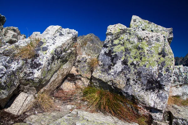 Pico Velke Solisko desde la colina Predne Solisko, Eslovaquia —  Fotos de Stock