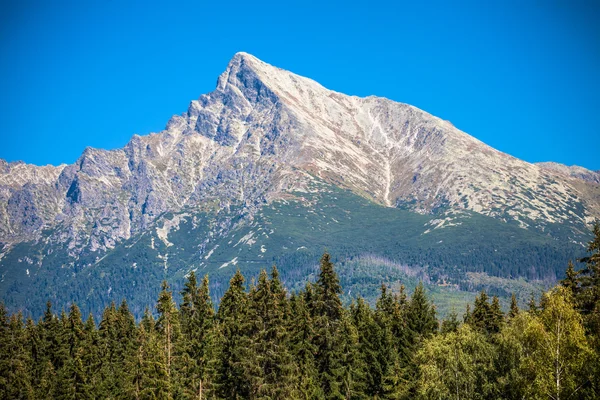 Tepe Krivan, Slovakya