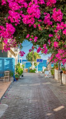 Panormos, Girit, Yunanistan - 28 Ağustos 2025: Restoranlarla dolu geleneksel köy caddesi ve Panormos kıyı köyündeki Akdeniz 'e doğru çiçek açan bougainvillea çiçekleriyle kaplı.