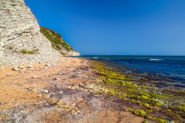 Güneşli bir günde Bulgaristan 'ın Byala kenti yakınlarındaki Karadeniz kıyısında geniş kıyı manzarası, kayalık kıyı şeridi ve yeşil algler.