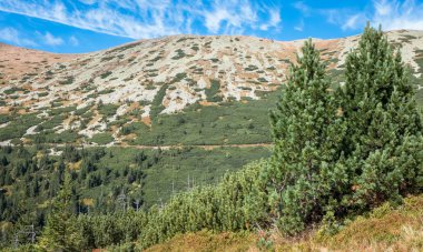 dağ manzarası ve cennet