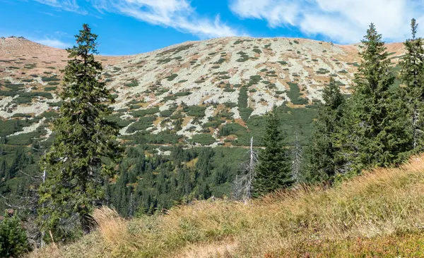 Nízké Tatry, Slovensko — Stock fotografie