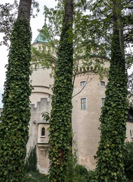 Бойніцького замку, Словаччина — стокове фото